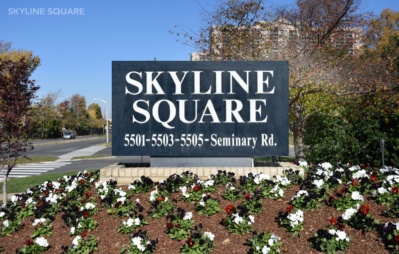 Welcome to Skyline Square!