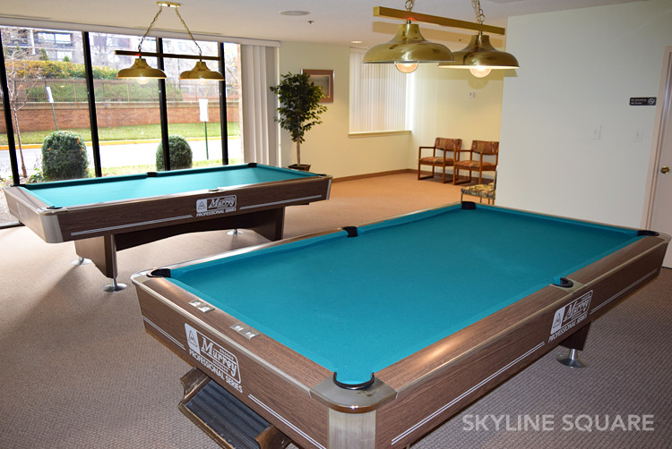 Game Rooms (Billiards and Ping Pong)